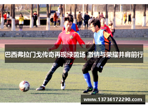 巴西弗拉门戈传奇再现绿茵场 激情与荣耀并肩前行 巴西弗拉门戈传奇再现绿茵场 激情与荣耀并肩前行