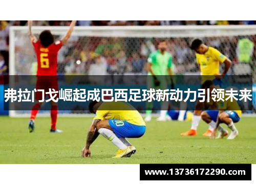 弗拉门戈崛起成巴西足球新动力引领未来 弗拉门戈崛起成巴西足球新动力引领未来